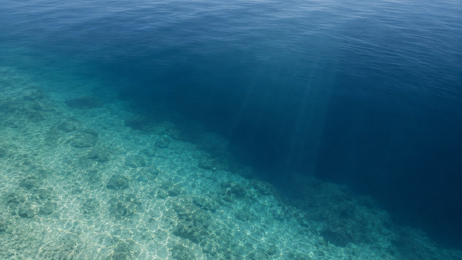 Clear shallows dropping away into deep blue water