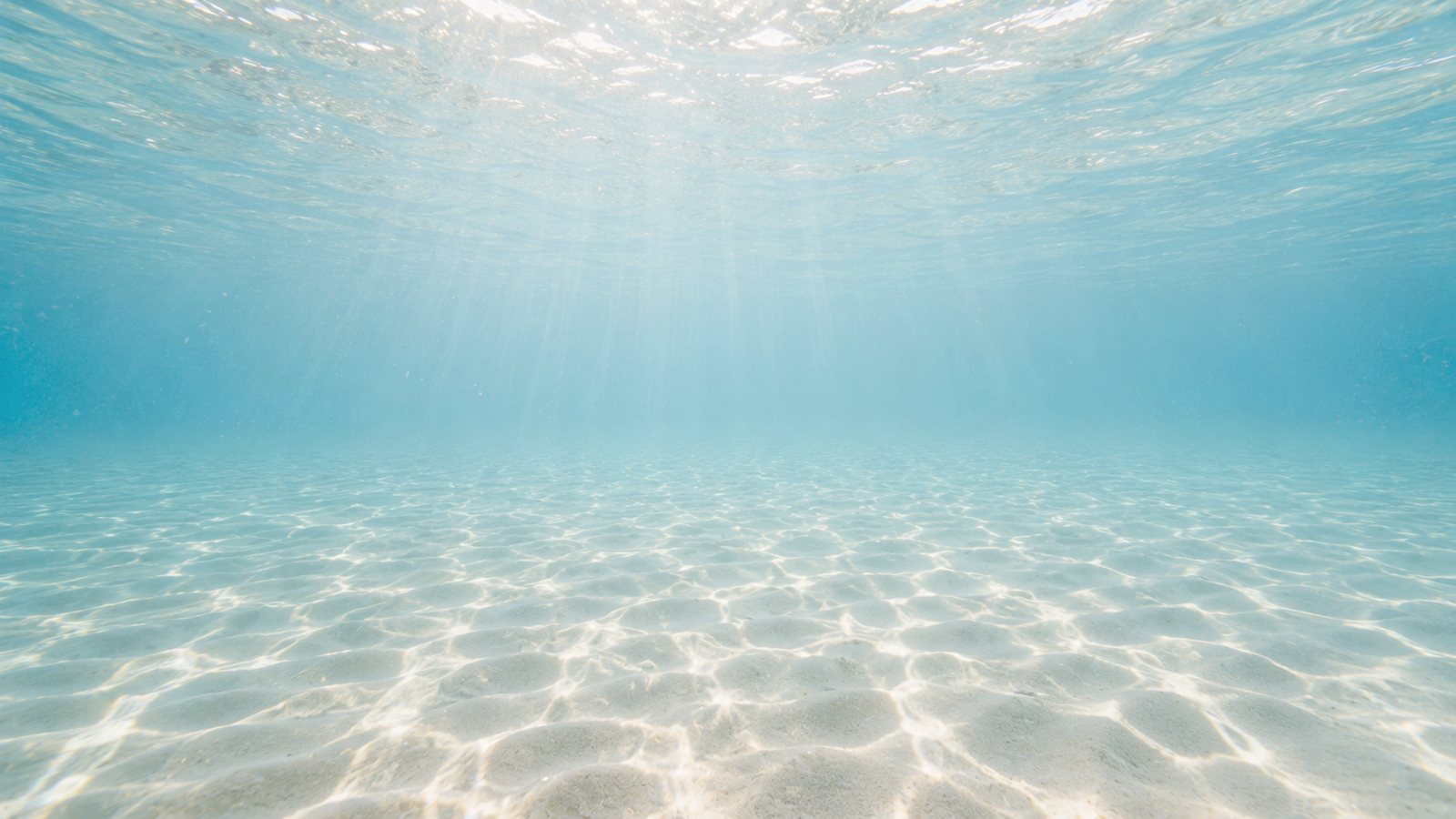 Sunlight filtering down through clear shallow water onto rippled sand